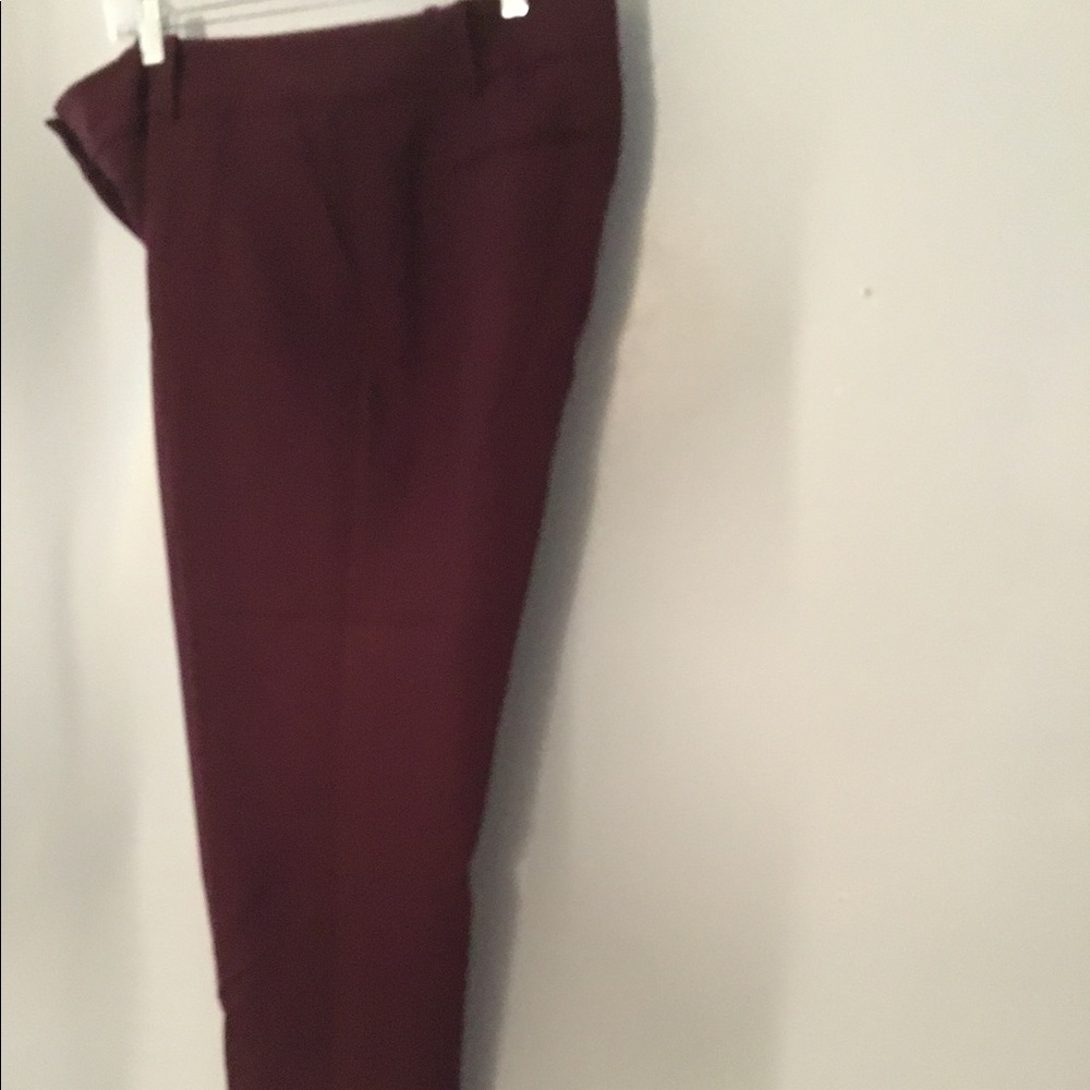Ann Taylor Woman’s Dress Skacks